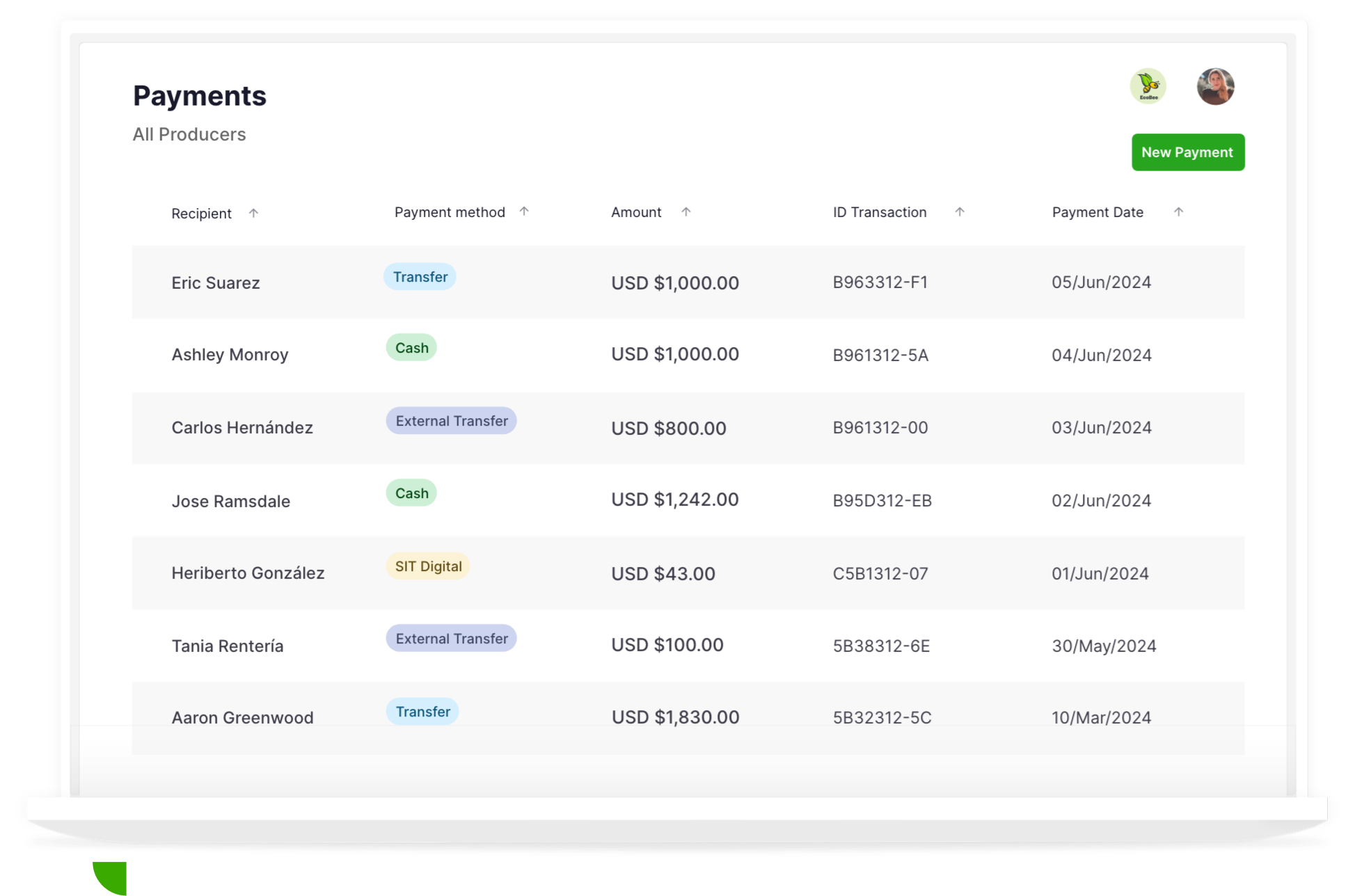 Payments mockup
