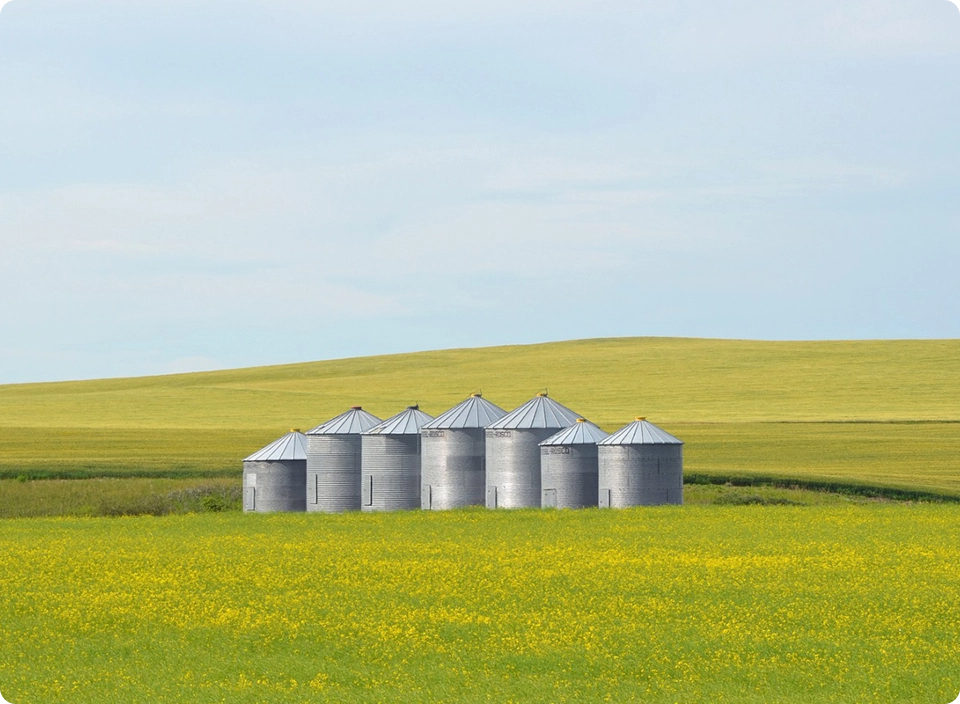 GrainChain Suite